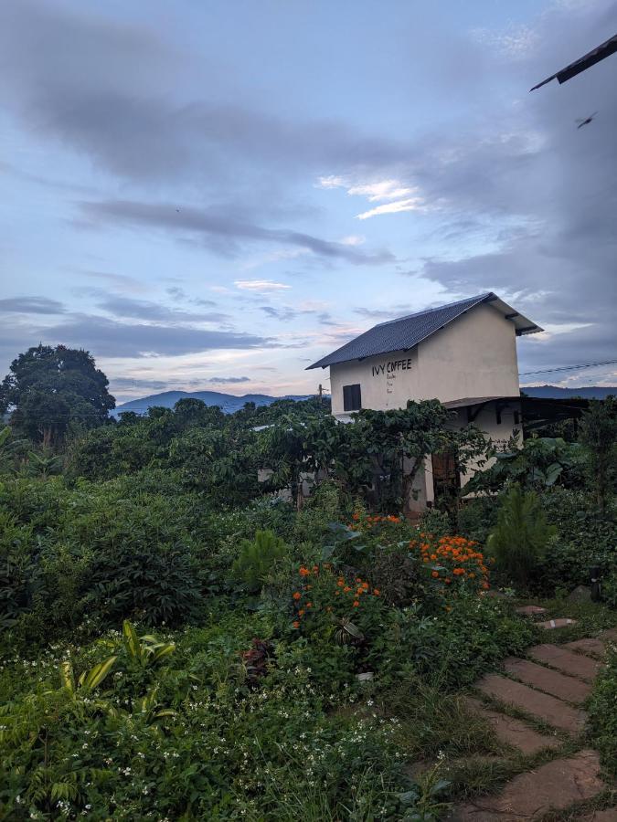 Ivy Coffee Farm - Garden House Apartman Duc Trong Kültér fotó