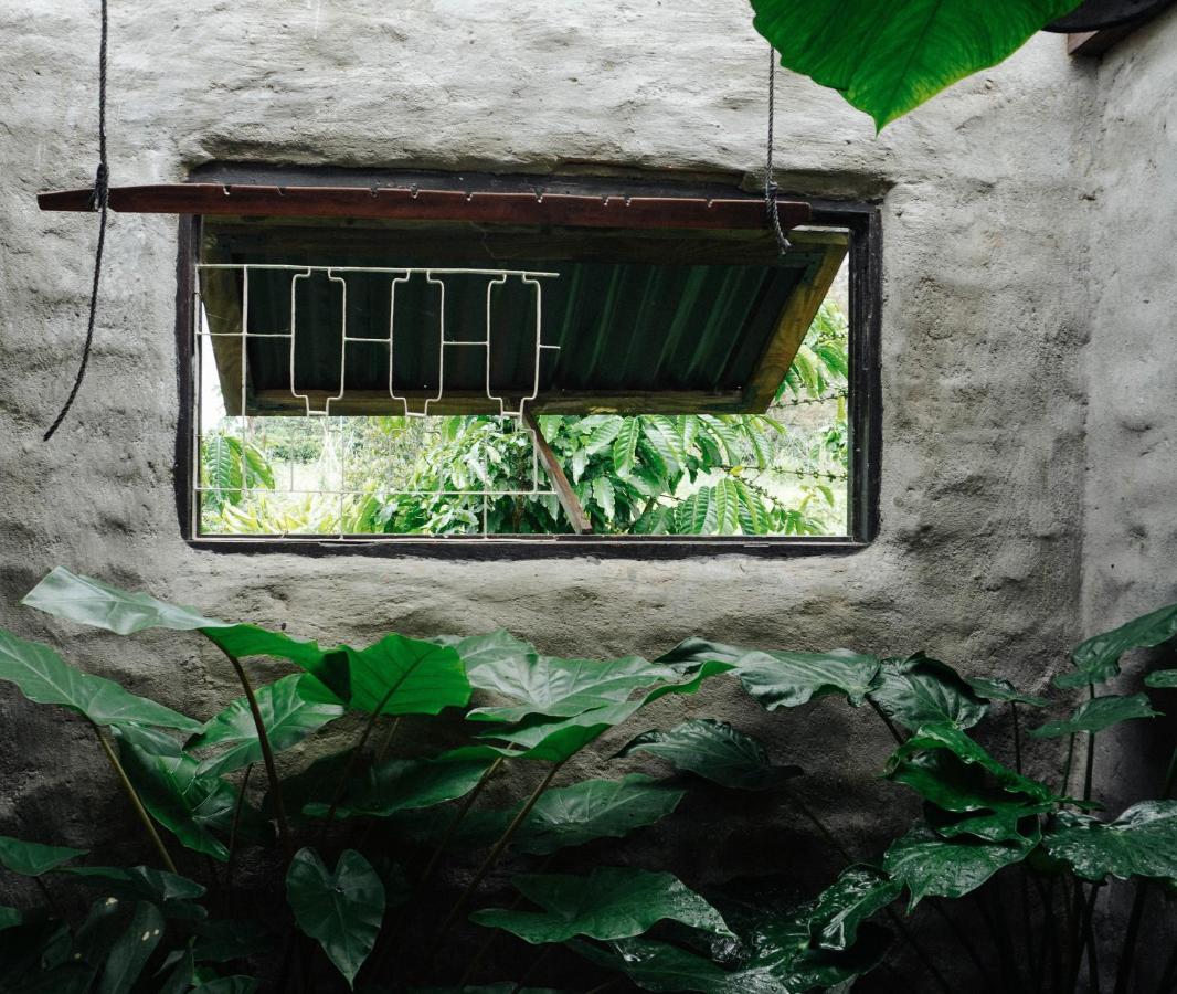Ivy Coffee Farm - Garden House Apartman Duc Trong Kültér fotó
