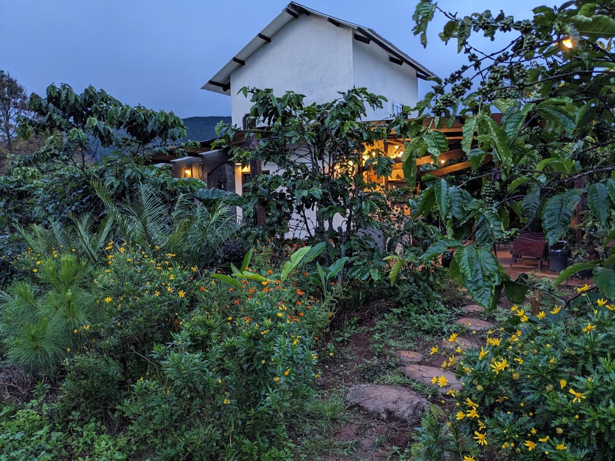 Ivy Coffee Farm - Garden House Apartman Duc Trong Kültér fotó