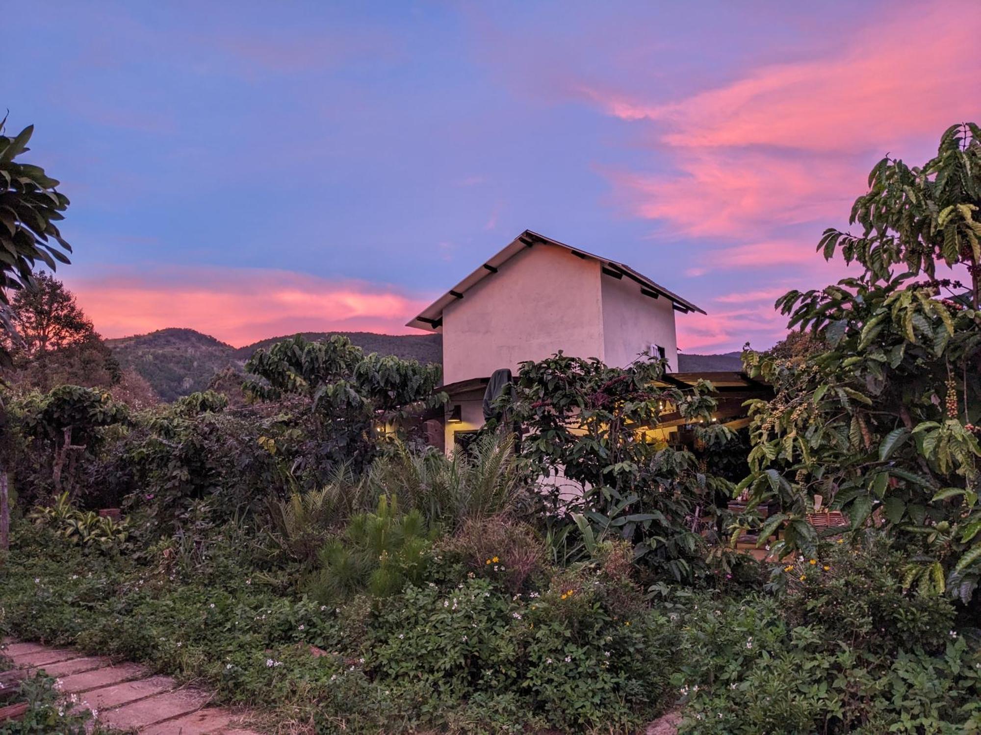 Ivy Coffee Farm - Garden House Apartman Duc Trong Kültér fotó