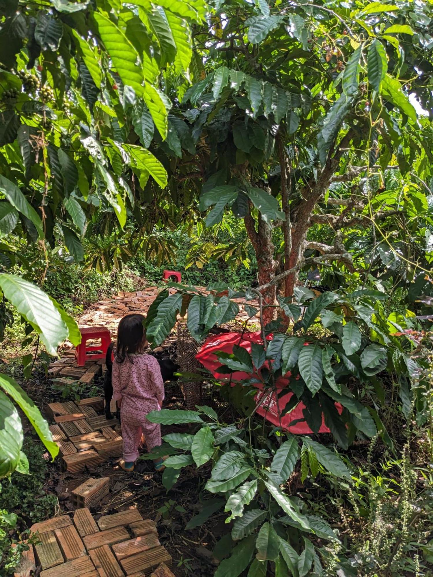 Ivy Coffee Farm - Garden House Apartman Duc Trong Kültér fotó
