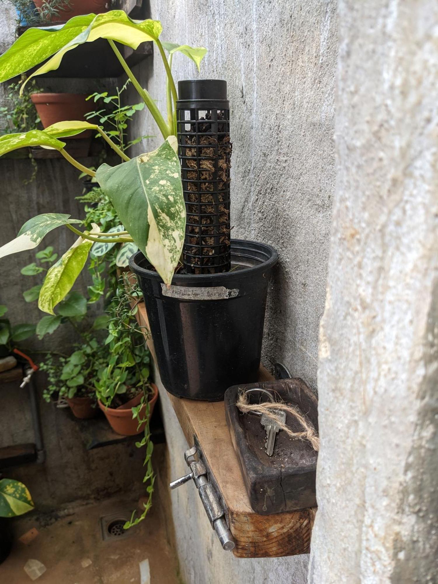 Ivy Coffee Farm - Garden House Apartman Duc Trong Kültér fotó