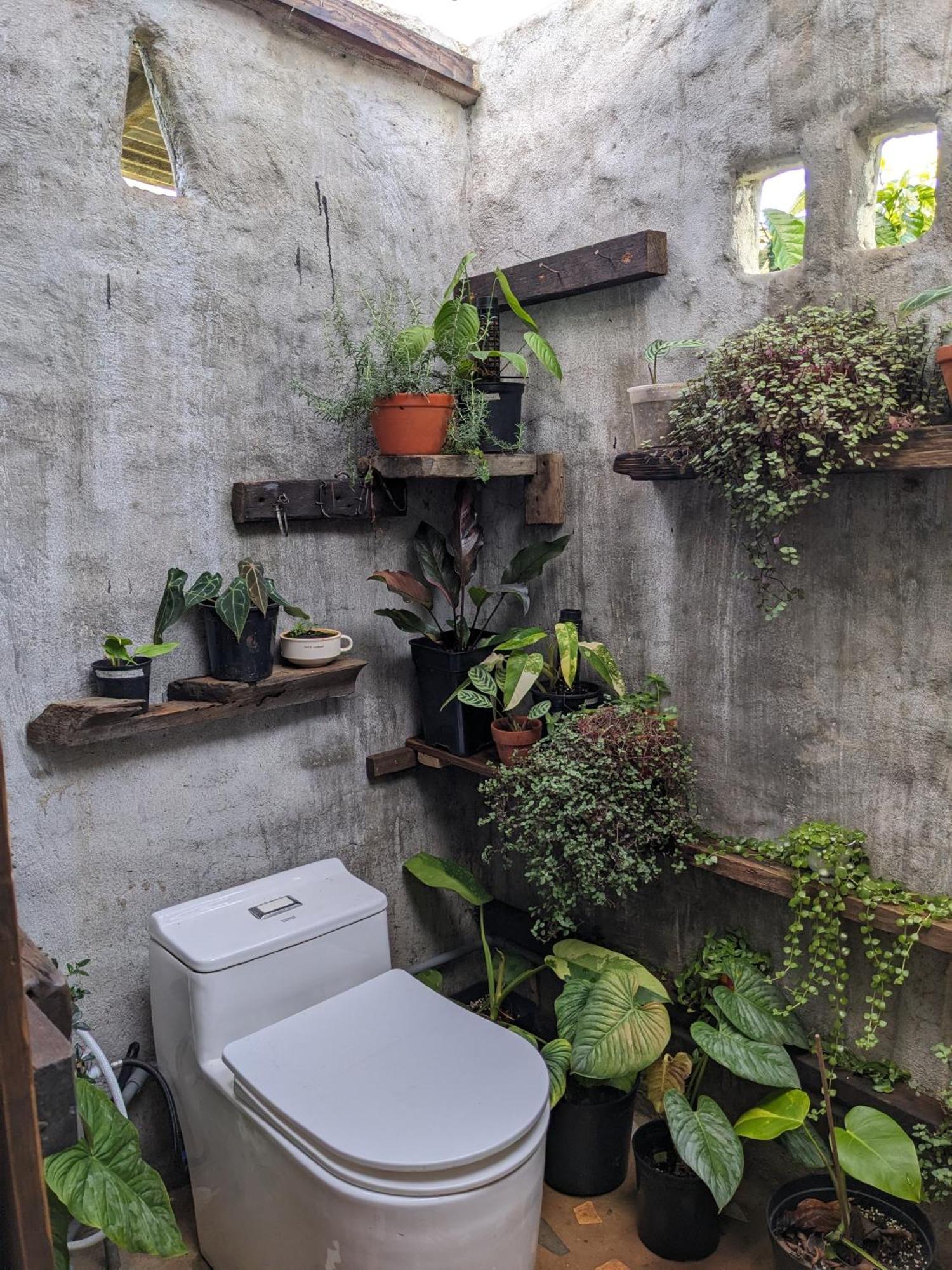 Ivy Coffee Farm - Garden House Apartman Duc Trong Kültér fotó