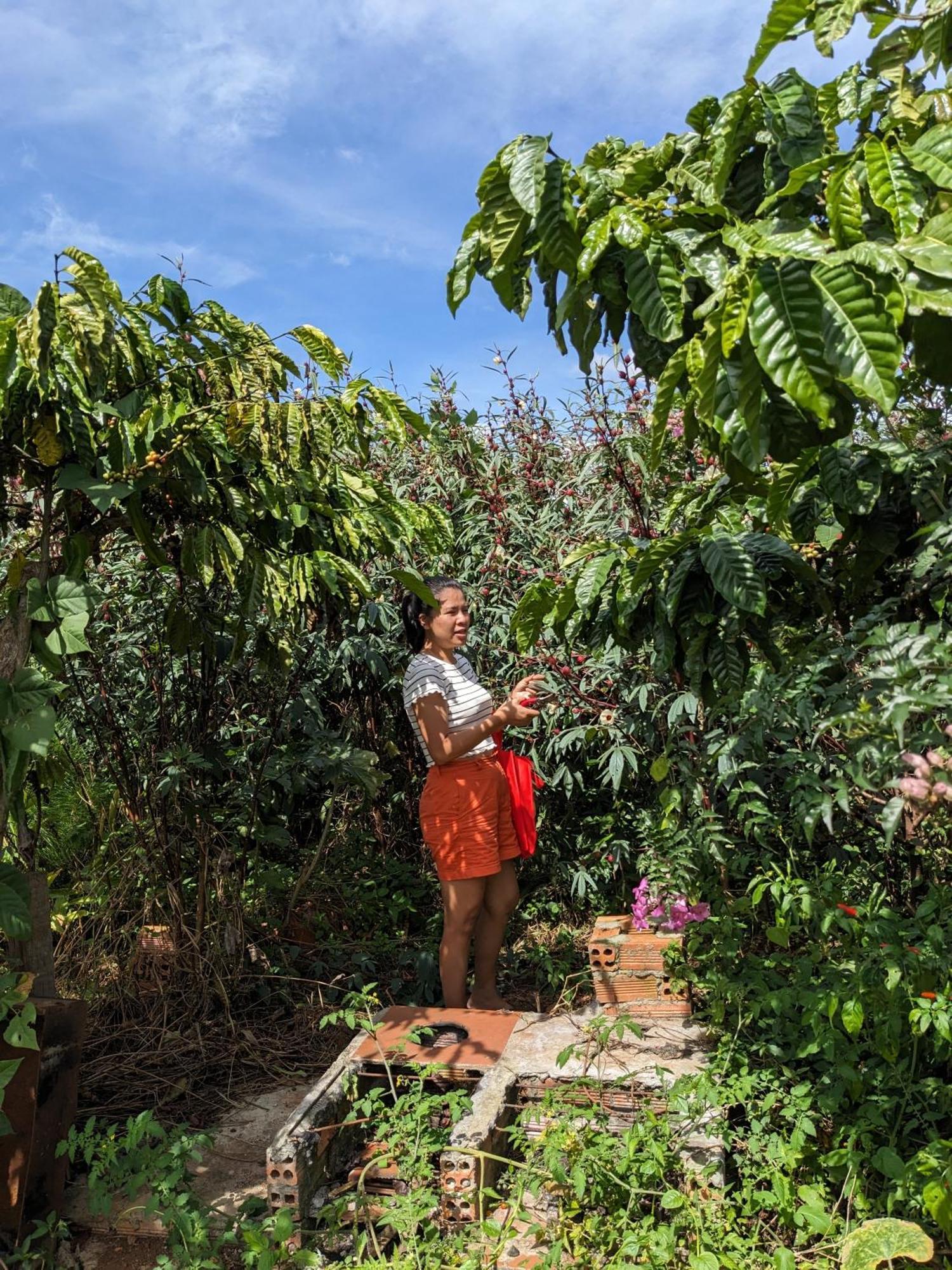 Ivy Coffee Farm - Garden House Apartman Duc Trong Kültér fotó