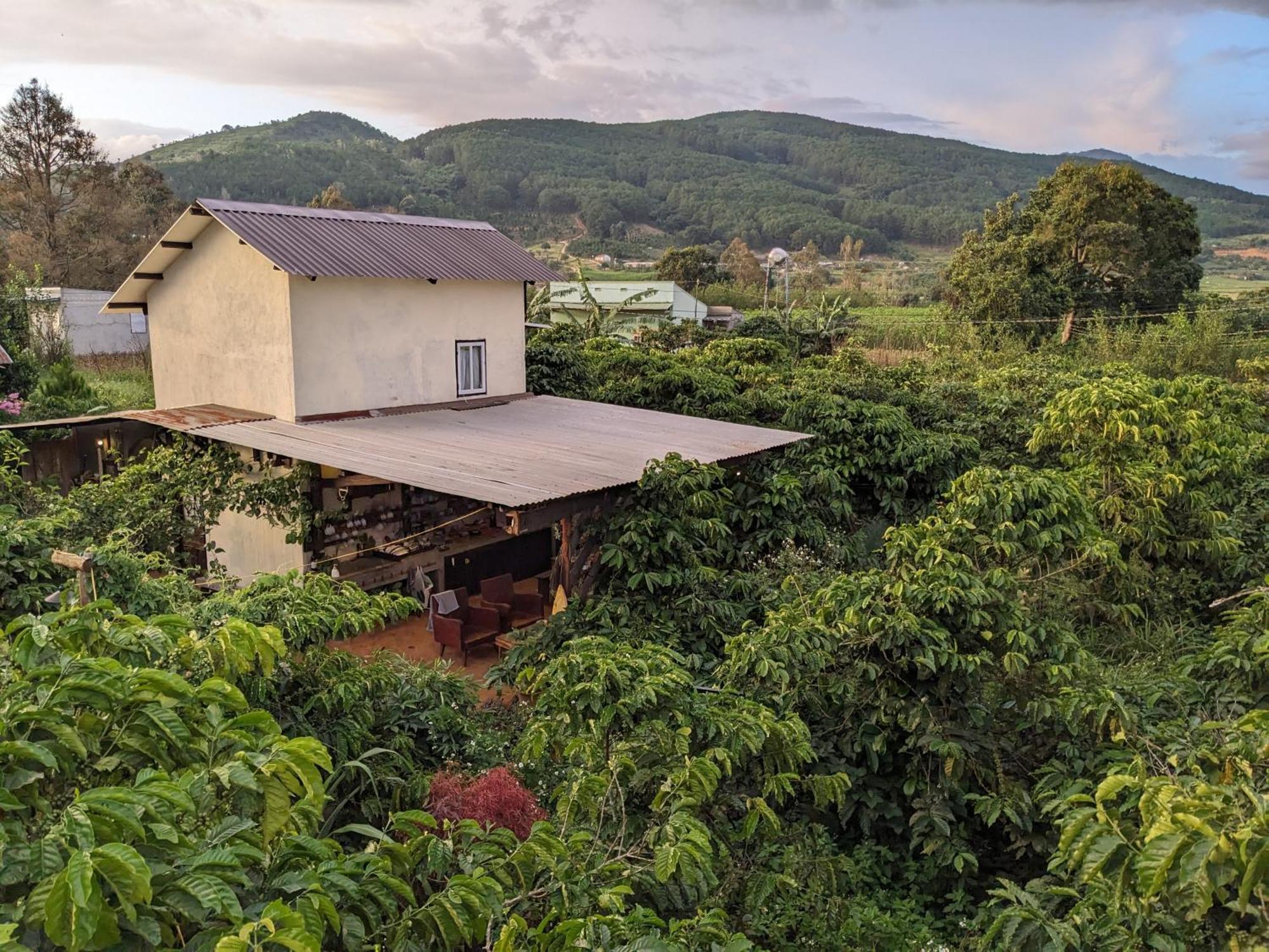 Ivy Coffee Farm - Garden House Apartman Duc Trong Kültér fotó