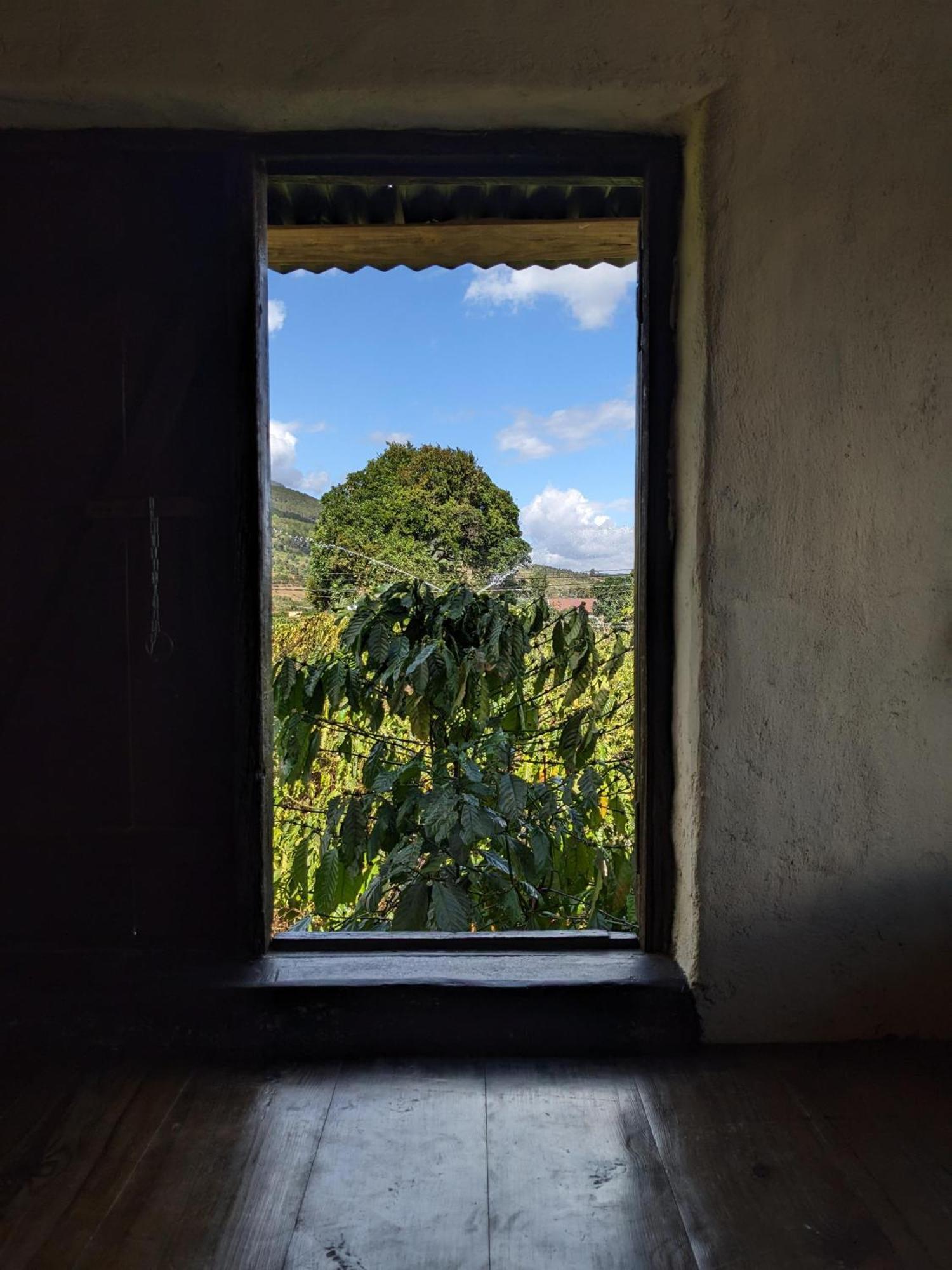 Ivy Coffee Farm - Garden House Apartman Duc Trong Kültér fotó