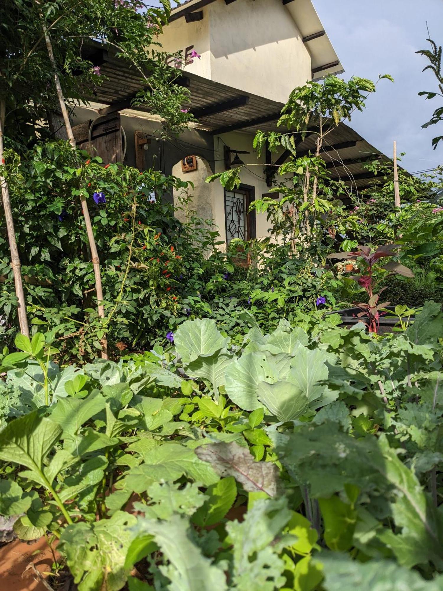 Ivy Coffee Farm - Garden House Apartman Duc Trong Kültér fotó