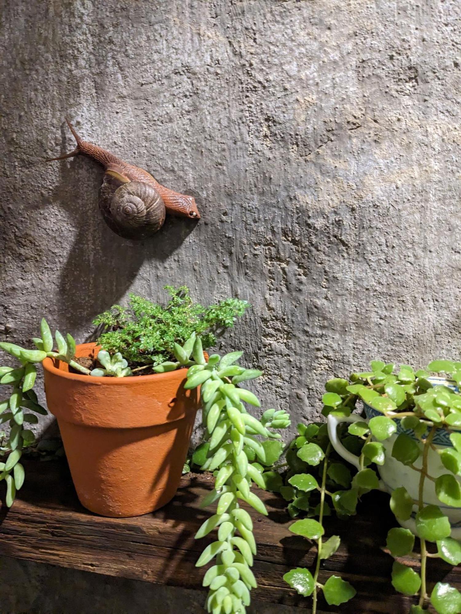 Ivy Coffee Farm - Garden House Apartman Duc Trong Kültér fotó