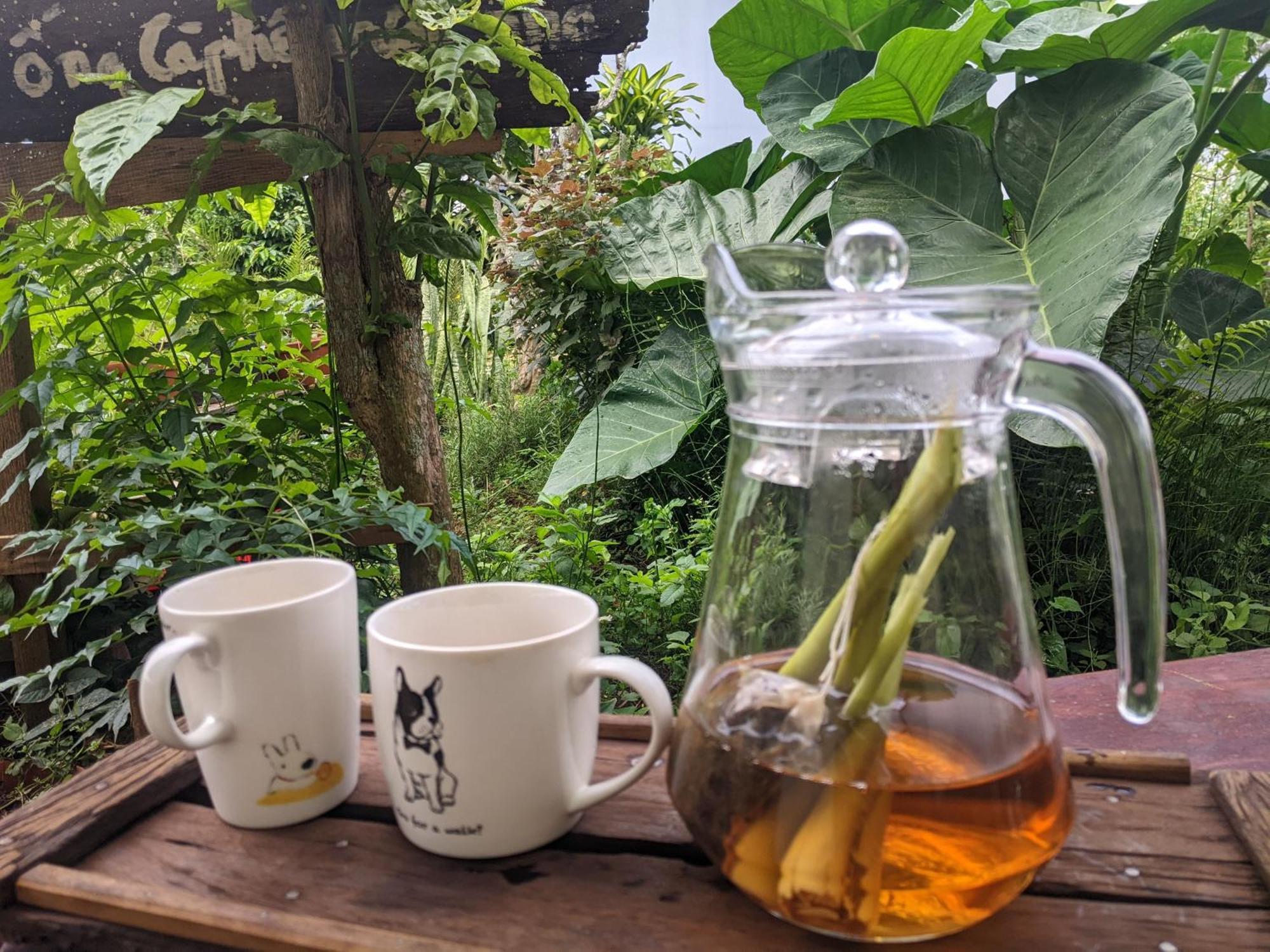 Ivy Coffee Farm - Garden House Apartman Duc Trong Kültér fotó